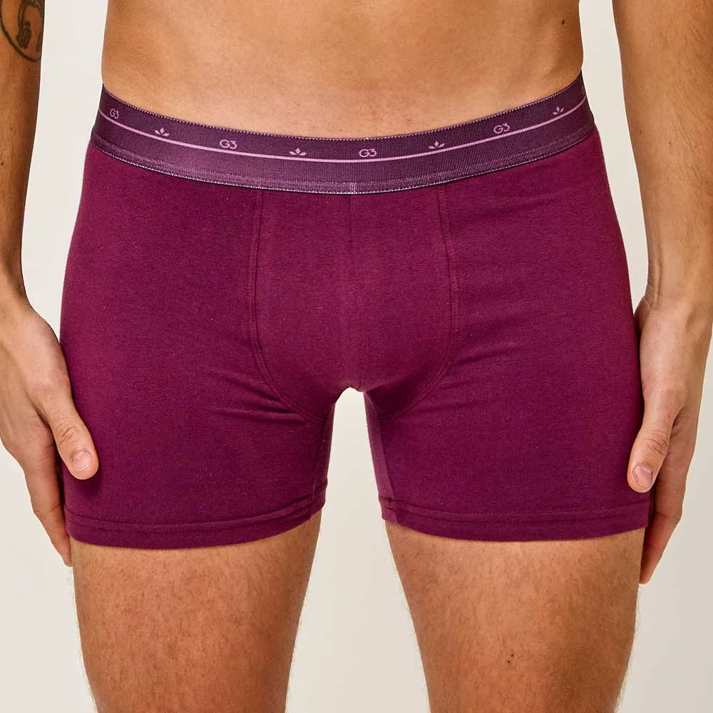 BOXER ALG Y ELAST. COLORS - Imagen 2