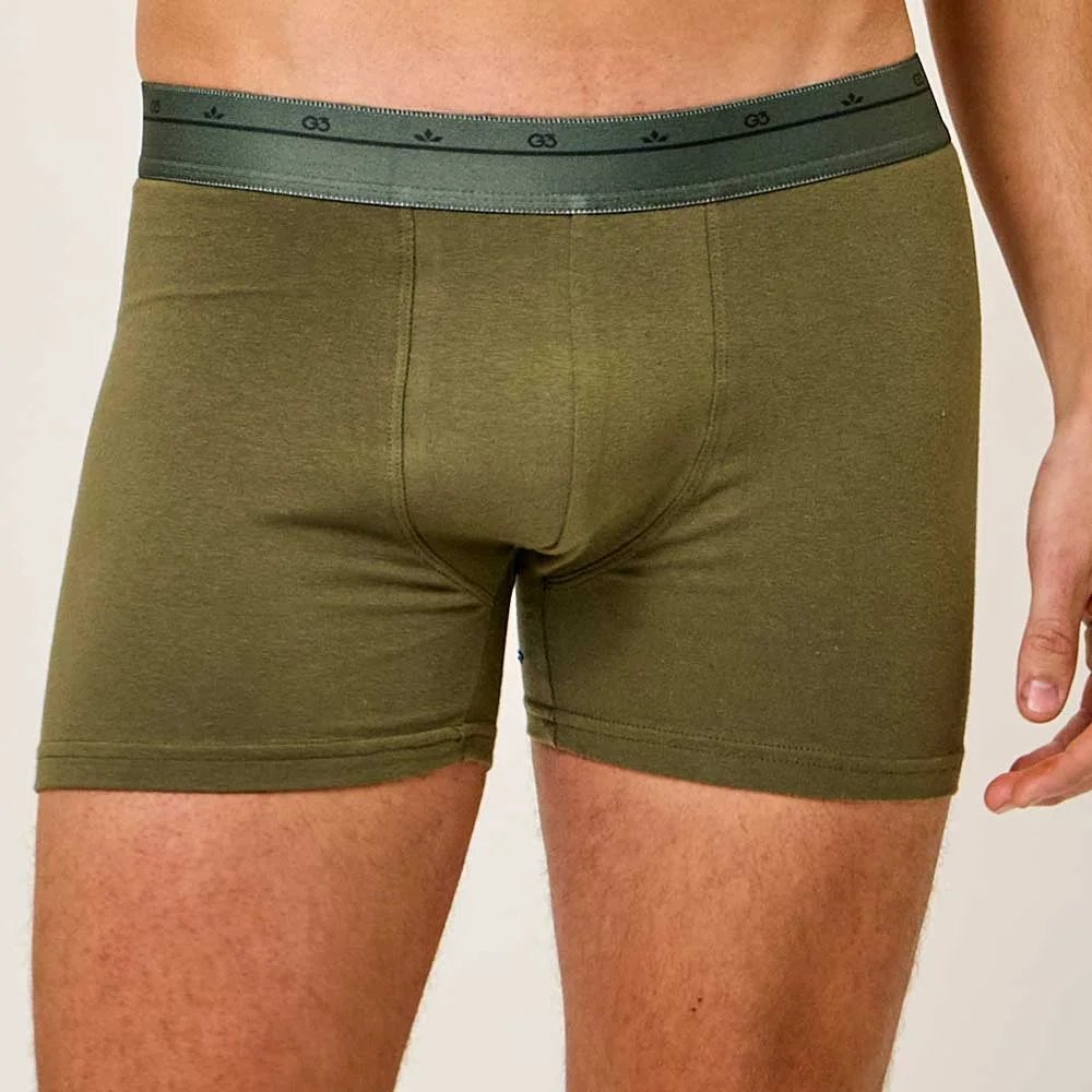 BOXER ALG Y ELAST. COLORS - Imagen 3